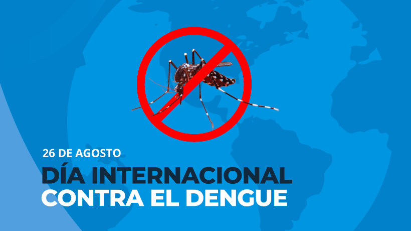 Día Internacional contra el Dengue. Como podemos prevenirlo.